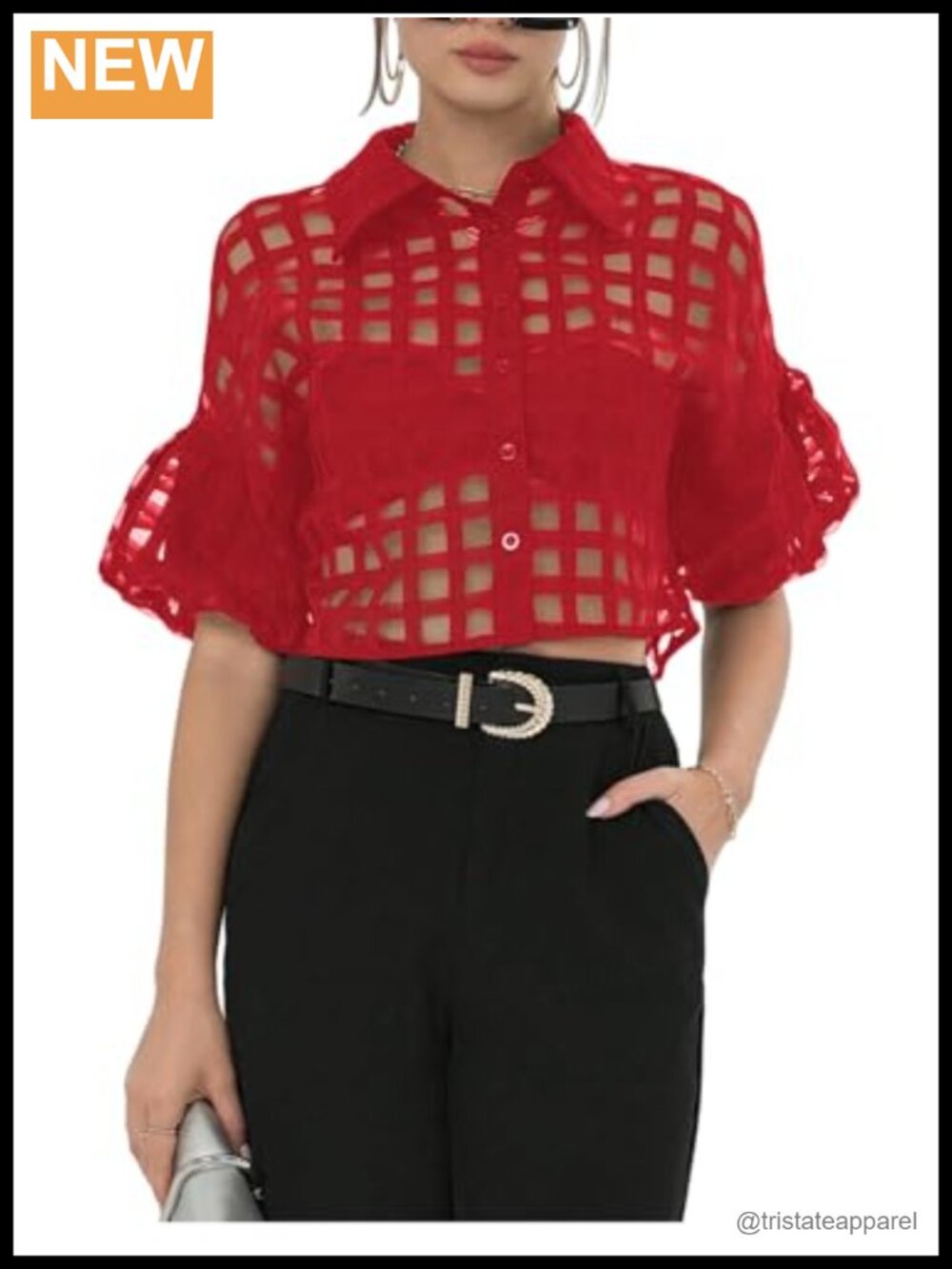 Sheer Mesh Short Sleeve Collared Blouse